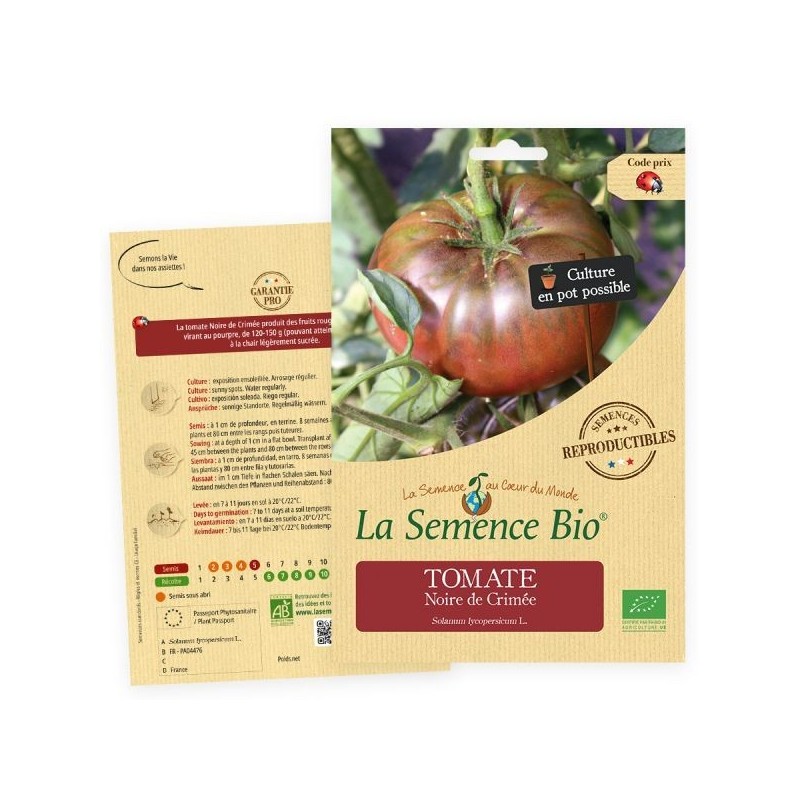 Graines Tomate Noire de Crimé BIO - La Semence Bio