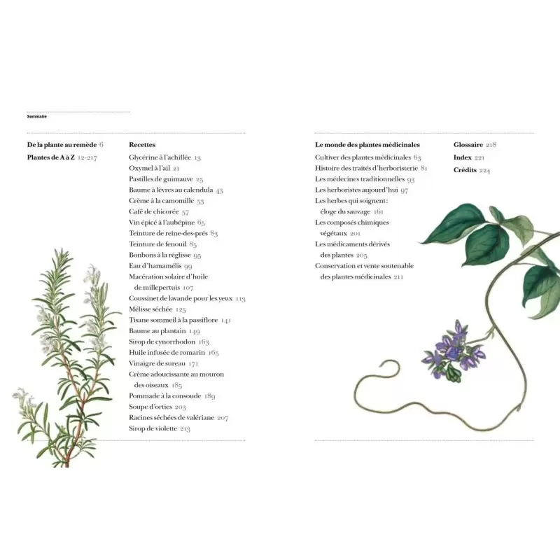 Plantes médicinales essentielles des pharmacopées occidentale, chinoise et indienne