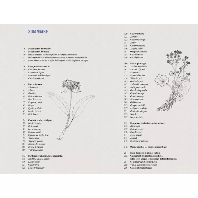 Plantes sauvages comestibles - Editions Ulmer