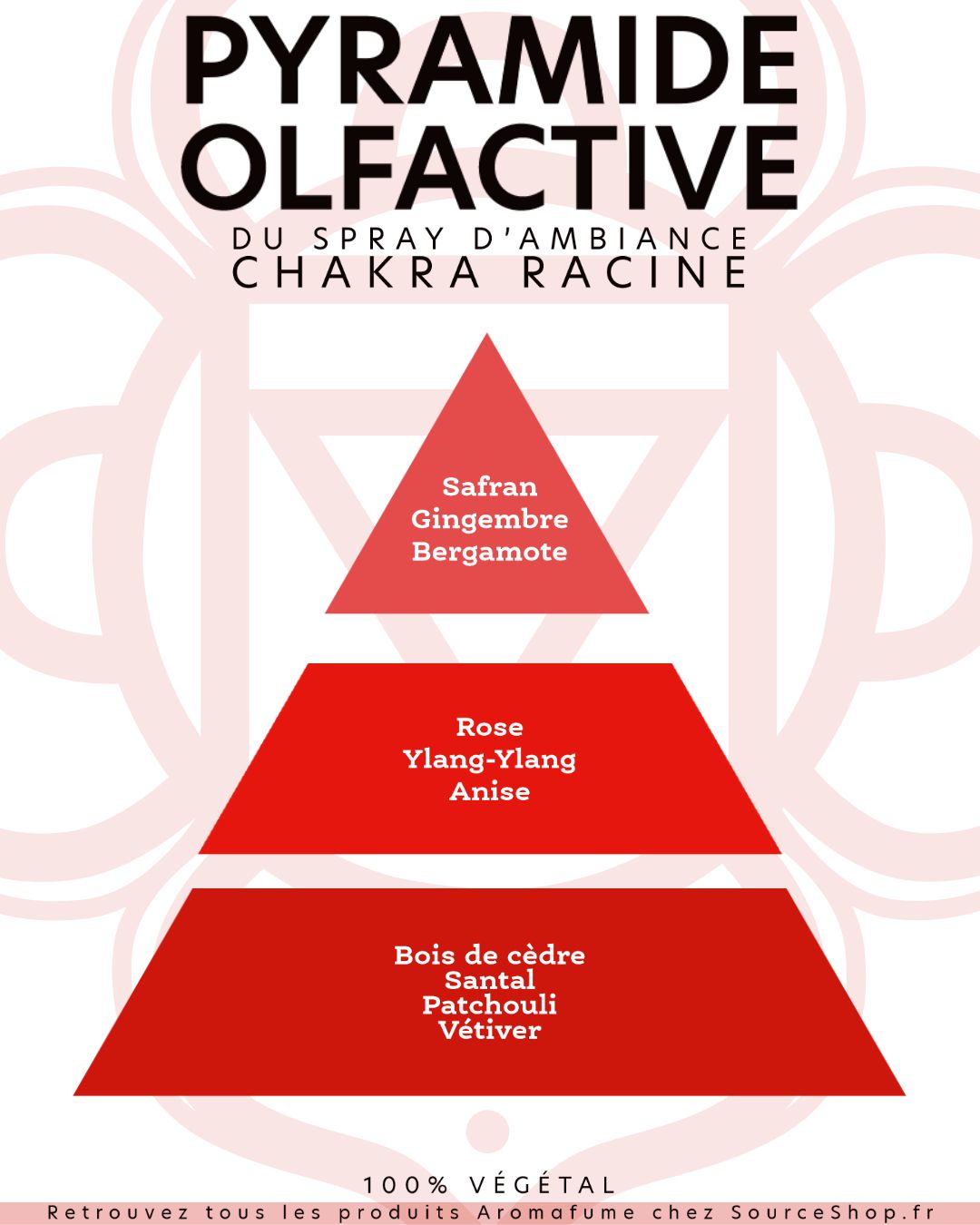 Pyramide olfactive du spray d'ambiance chakra Muladhara Aromafume