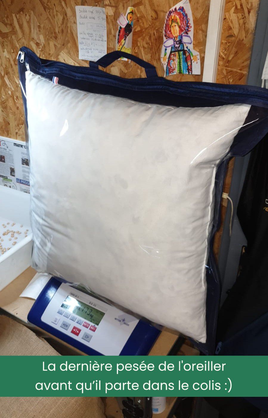Oreiller BIO plumes canard & oie - 5% duvet - Artisanal & Français