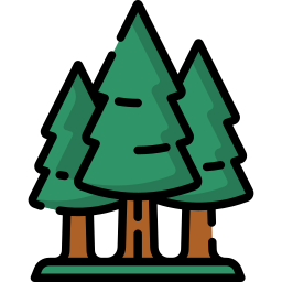 Forêt