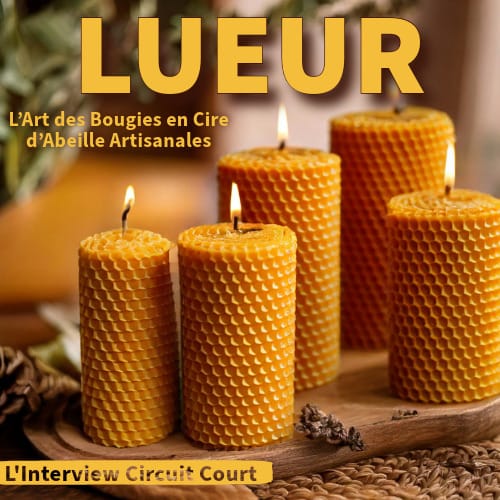 Lueur- L'Interview Circuit Court