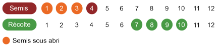 calendrier-graines-aneth-bio.png