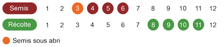 calendrier-camomille-romaine-bio.png