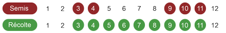 calendrier-camomille-romaine-bio.png