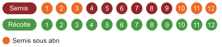 calendrier-camomille-romaine-bio.png