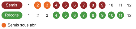 calendrier-camomille-romaine-bio.png