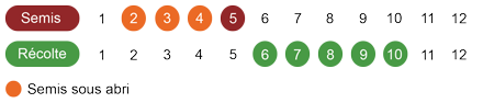 calendrier-camomille-romaine-bio.png
