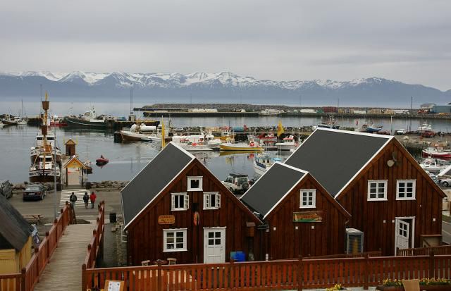 peche-islande-lysi.jpg
