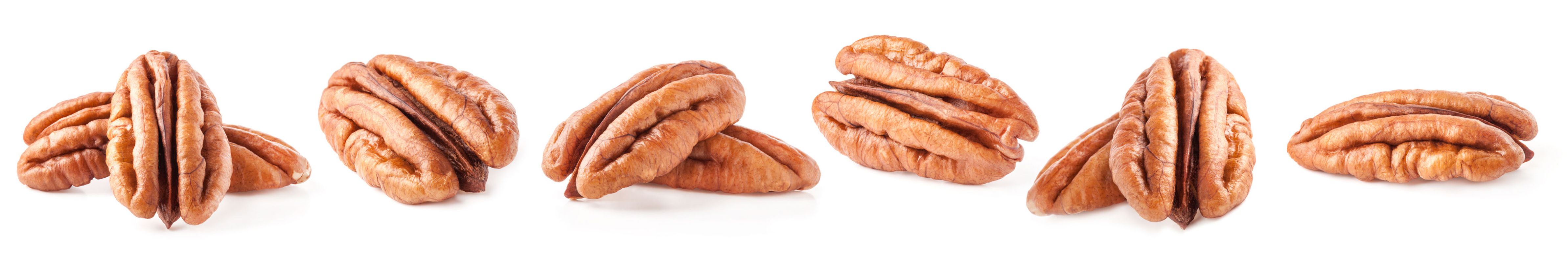 Noix de Pécan BIO en vrac