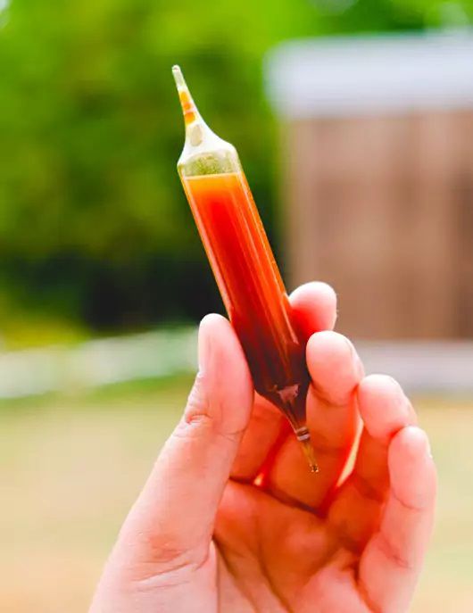 Ampoules 4 Forces de la Ruche de Ballot-Flurin à base de miel, propolis et gelée royale