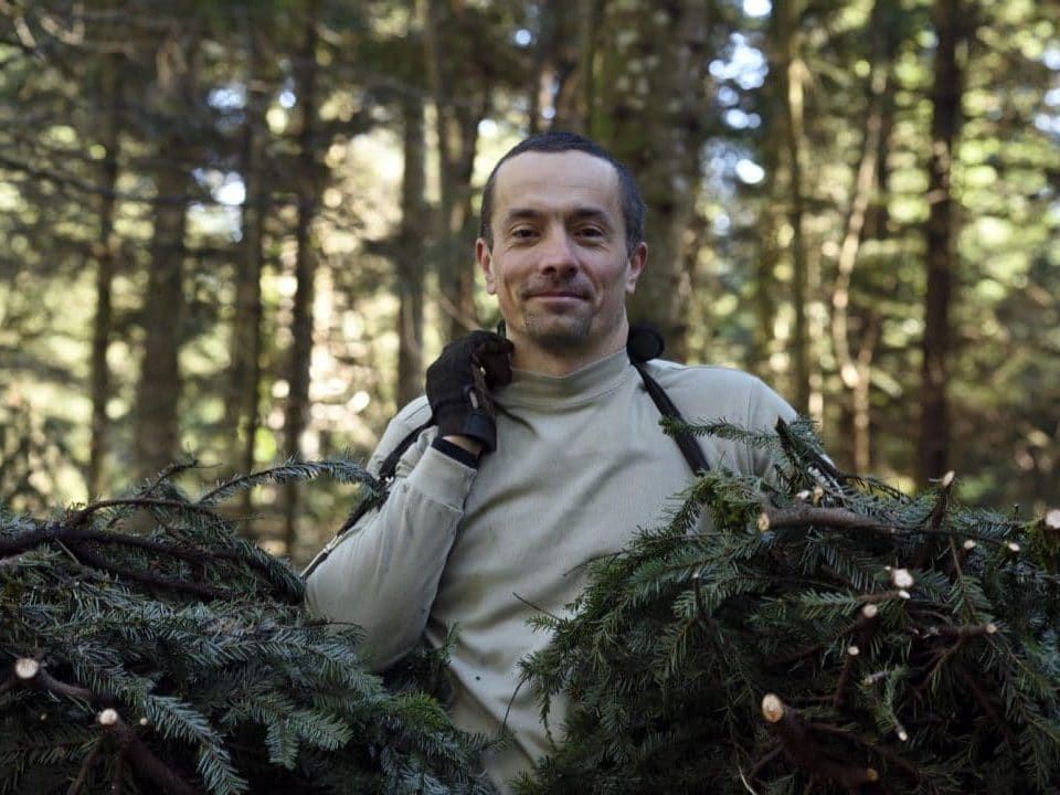 Grégory récolte le sapin blanc du Jura pour la fabrication des produits Aromacomtois
