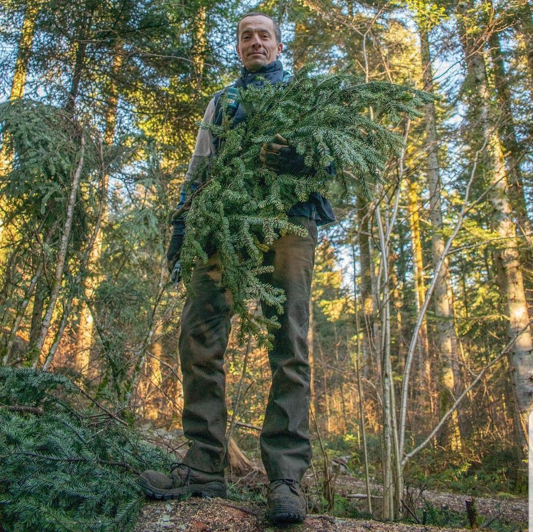 Grégory récolte le sapin blanc du Jura pour la fabrication des produits Aromacomtois