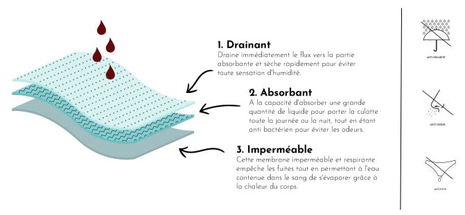 Comment fonctionne la culotte menstruelle Smoon